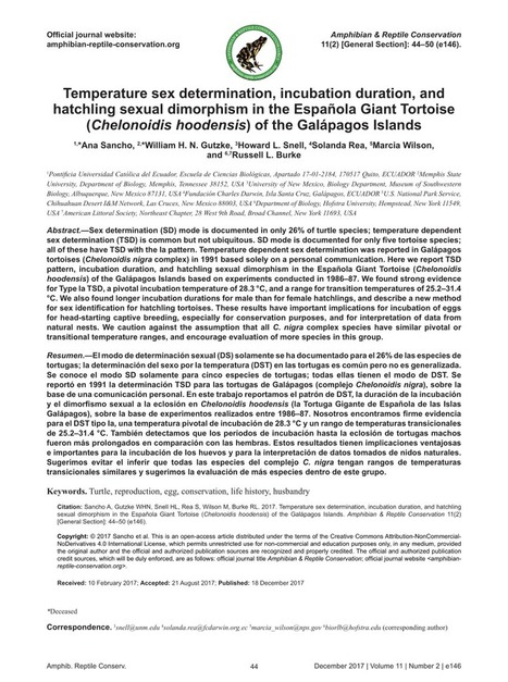 Temperature sex determination, incubation duration, and hatchling sexual dimorphism in the Española Giant Tortoise (Chelonoidis hoodensis) of the Galápagos Islands (PDF Download Available) | Galapagos | Scoop.it