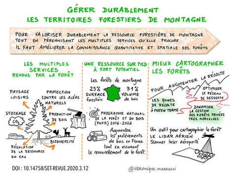 Sketchnote - La télédétection aéroportée pour la gestion des territoires forestiers de montagne - Sciences Eaux & Territoires, la revue d'INRAE | Biodiversité | Scoop.it