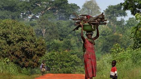 Et si les arbres sauvaient l'Afrique de la famine? | Decolonial | Scoop.it