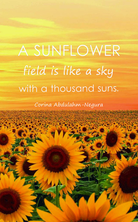 23 Beautiful Sunflower Quotes With Images Cen