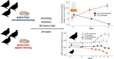 L’alimentation bio est plus saine, même pour les oiseaux | EntomoNews | Scoop.it