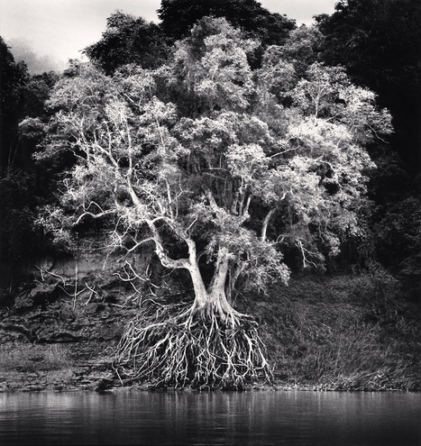 Exposition photo - Michael Kenna : Buddha | What's new in Visual Communication? | Scoop.it