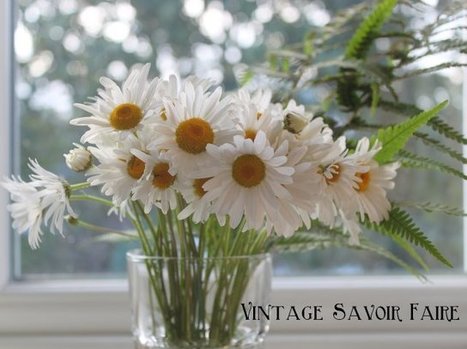 Want to pick wild plants? 4 foraging rules. | Vintage Living Today For A Future Tomorrow | Scoop.it