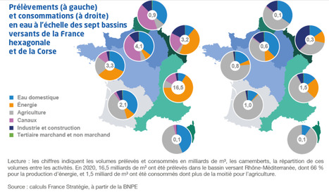 Prélèvements et consommations d’eau : quels enjeux et usages ? France Stratégie | Biodiversité | Scoop.it