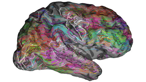 Storytelling Neuroscience: Scans Show Brains Groups Words By Meaning | Writing_me | Scoop.it