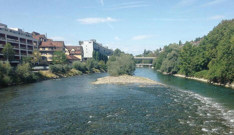 Comment les PFAS parviennent-ils dans les cours d'eau ? | Gestion de l'eau | Scoop.it