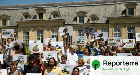 L’État va-t-il être contraint à agir contre les pesticides ? | Planète DDurable | Scoop.it