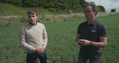 Un agriculteur de Vendée à l’honneur sur M6 pour une culture d’avenir, le pois chiche - Actu.fr | Agriculture en Pays de la Loire | Scoop.it