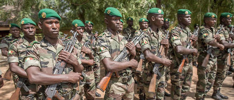 "On oublie trop souvent le r&ocirc;le positif de certaines arm&eacute;es africaines" | NOUVELLES D'AFRIQUE | Scoop.it