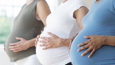 Pregnancy fat 'may alter baby brain' | Physical and Mental Health - Exercise, Fitness and Activity | Scoop.it
