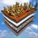 Les toitures végétalisées  : une certaine vision de l'Art Floral | Build Green, pour un habitat écologique | Scoop.it