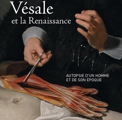 LLN/UCL - Exposition : Vésale et la Renaissance | Koter Info - La Gazette de LLN-WSL-UCL | Scoop.it