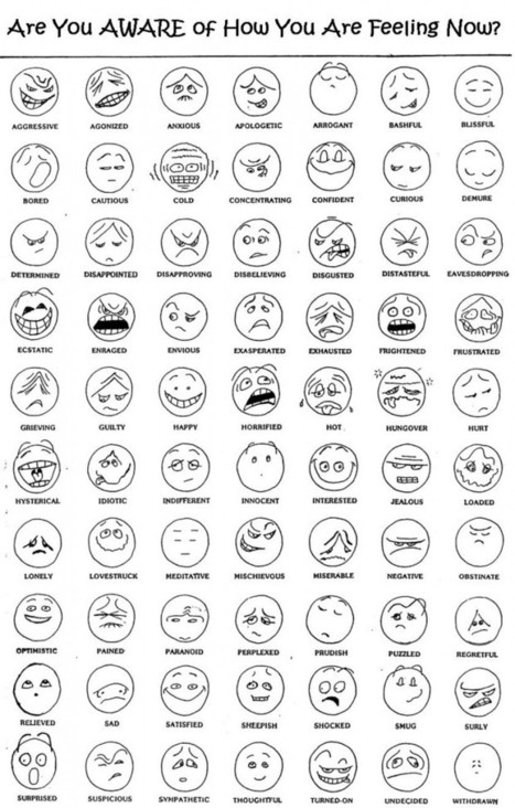 The 10 Biggest Ways Emotions Affect Learning | Edudemic | teacher tools for this century | Scoop.it