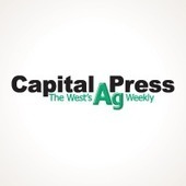 Study: Wildfires Burn More Severely On Private Timber Plantations Than Public Forests | Timberland Investment | Scoop.it