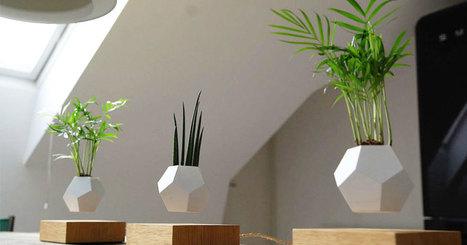 Ces pots de fleurs d&eacute;fient les lois de la gravit&eacute; : ils l&eacute;vitent gr&acirc;ce &agrave; l&rsquo;&eacute;nergie magn&eacute;tique | T&eacute;l&eacute;phone Mobile actus, web 2.0, PC Mac, et geek news | Scoop.it