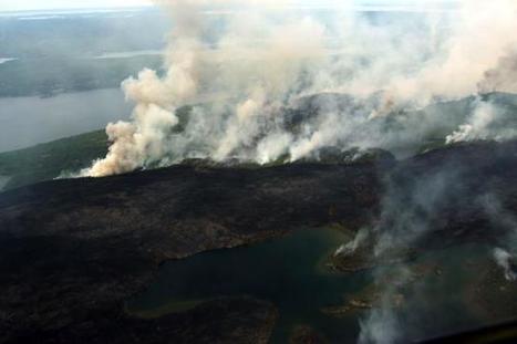 Arctic's Boreal Forests Burning At 'Unprecedented' Rate | CLIMATE CHANGE WILL IMPACT US ALL | Scoop.it