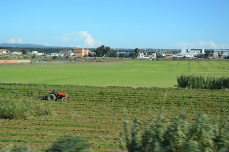 Tunisie: Les petites exploitations agricoles face à leurs défis | CIHEAM Press Review | Scoop.it