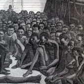 Did slavery cause rapid natural selection among African Americans? | Science News | Scoop.it