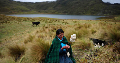 Pérou : la résistance d'une famille paysanne au projet Conga | Questions de développement ... | Scoop.it