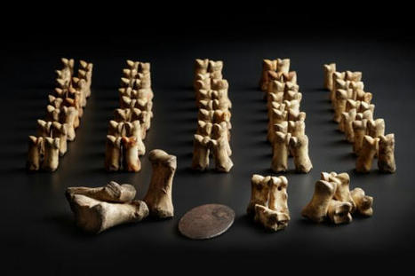 Luinen keilapeli | 1Uutiset - Lukemisen t&auml;hden | Scoop.it