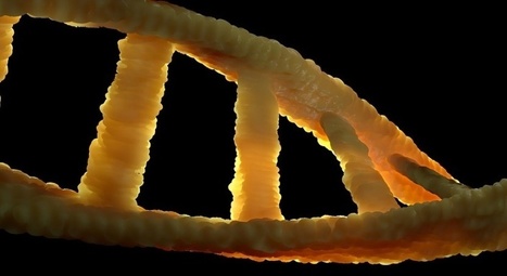 Manipulations génétiques : 8 Français sur 10 sont pour un usage | Bioéthique & Procréation | Scoop.it