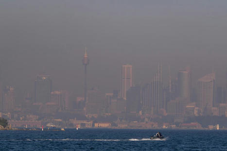 Australia heatwave: Catastrophic wildfire danger declared as schools shut in record-breaking temperatures - The Independent | Operation Deimos | Scoop.it