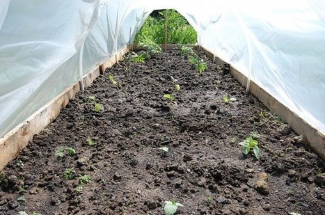 Come costruire un tunnel per l’orto | Orto, Giardino, Frutteto, Piante Innovative e Antiche Varietà | Scoop.it