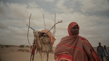 Diaries from the field | UN Reporters in their own words | United Nations, UNGA, UNDESA, UNDSPD, ECOSOC, UNSDN, UNNGLS, | Scoop.it