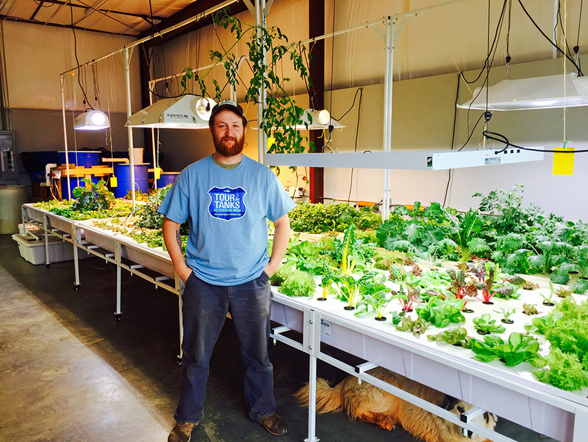 USA - Sustainability: Aquaponic Farming | Aquap...