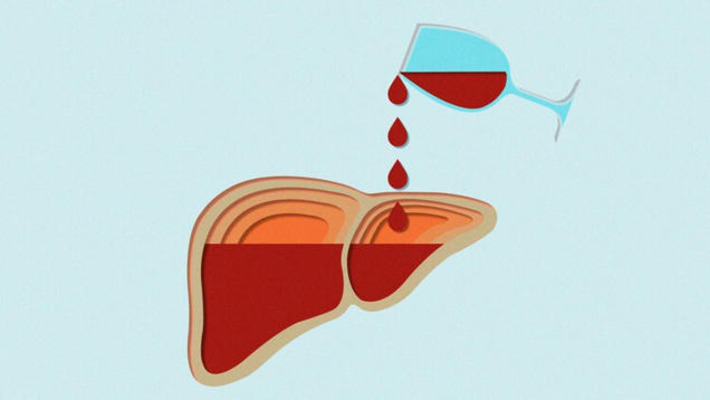 Think Your Liver Heals After You Stop Drinking? Researchers Just Identified a Major Exception | The Health Report | Scoop.it