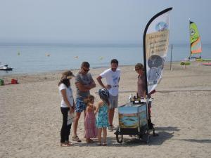 Troisième campagne de sensibilisation du Life+ ENVOLL pour protéger la nidification des oiseaux sur notre littoral ! | Les oiseaux au gré du vent | Scoop.it