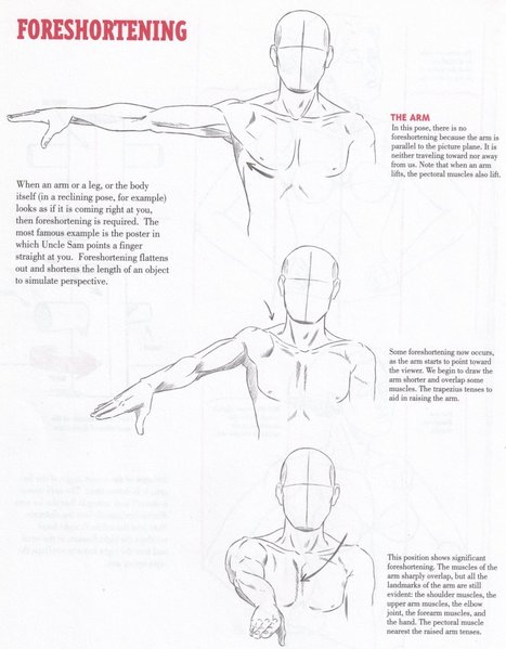 This tutorial shows how to draw different hand poses. The examples