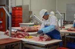Noeux-les-Mines : l'abattoir crée 15 emplois | La Gazette des abattoirs | Scoop.it
