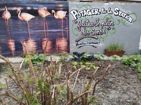 &Agrave; Dunkerque, ils installent un jardin dans une station service abandonn&eacute;e | Lille Actu | Nature en ville | Scoop.it