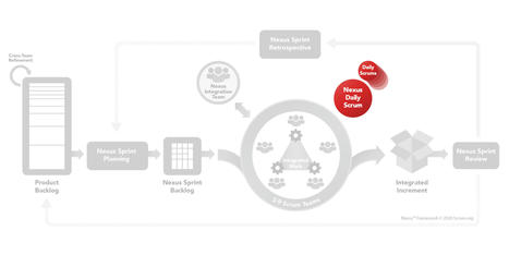 Why the Nexus Daily Scrum is not Scrum of Scrums: 4 Differences Every Scrum Master Needs to Know | Devops for Growth | Scoop.it