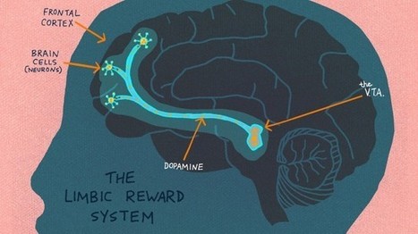 What’s Going on Inside the Brain Of A Curious Child? | Eclectic Technology | Scoop.it