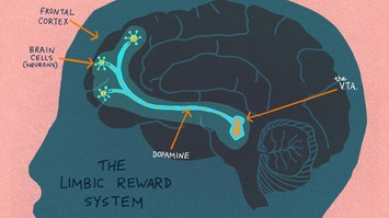 What’s Going on Inside the Brain Of A Curious Child? | Kinsanity | Scoop.it