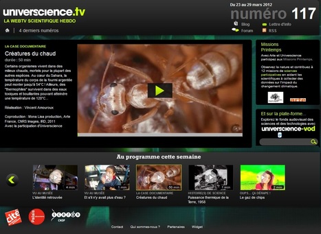 Créatures du chaud, vidéo scientifique - Web TV universcience.tv | Variétés entomologiques | Scoop.it