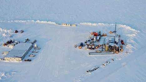 Le r&eacute;veil d'un virus g&eacute;ant pris dans les glaces | Microbiologie | Scoop.it