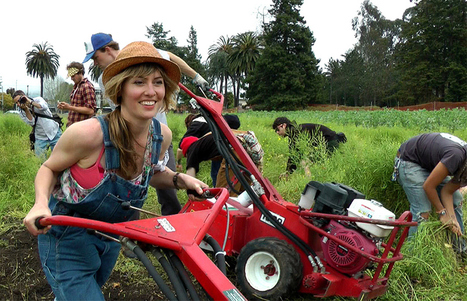 Documentary about Occupy the Farm movement premieres Friday in Berkeley - Daily Californian | Peer2Politics | Scoop.it