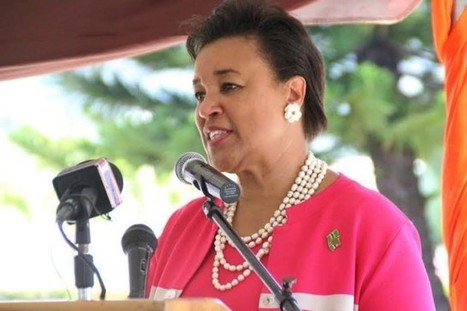 Baroness Scotland launches project for disaster resource center | Commonwealth of Dominica | Scoop.it