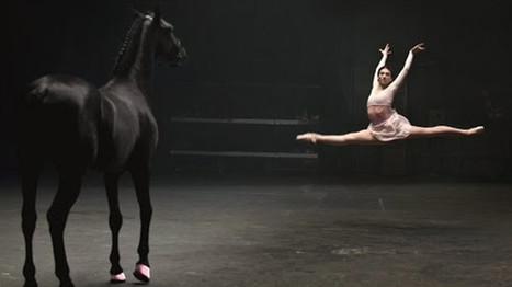 MAGNIFIQUE: la battle de danse de 4 jeunes femmes face à un cheval (vidéo) | Salon du Cheval | Scoop.it