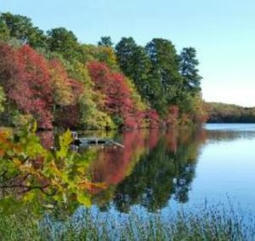 MA: Cape Cod Commission releases final draft of its Freshwater Strategy | by Matt Thomlinson | CapeCod.com | @The Convergence of ICT, the Environment, Climate Change, EV and HEV Transportation & Distributed Renewable Energy | Scoop.it