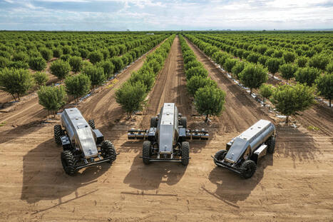ROBOTS: Still 'early days' for crop robotics but AI and M&A are driving growth | Revue de presse - Club DEMETER | Scoop.it
