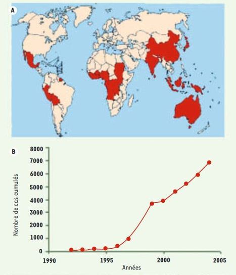 Rappels sur l'ulc&egrave;re de Buruli | EntomoScience | Scoop.it