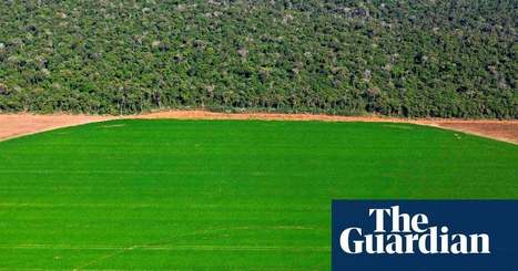 M&S cuts soya from production of milk to curb deforestation&nbsp; | Sustainable Procurement News | Scoop.it