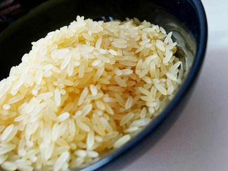 INNOVATIONS : Un riz qui émet peu de méthane, c'est possible | INNOVATIONS | Scoop.it