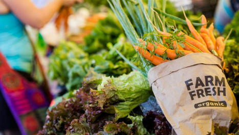 EU needs to stimulate demand for organic food, stakeholders say – Euractiv | Energy Transition in Europe | www.energy-cities.eu | Scoop.it