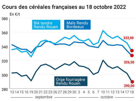Prix des céréales - Net recul du blé sur fond de négociations « constructives » sur le corridor d'export de grains ukrainiens - Le Petit Meunier, La Dépêche | Agriculture et Alimentation Durable Méditerranéenne | Scoop.it