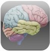 18 Great Science apps for iPad | Apps and Widgets for any use, mostly for education and FREE | Scoop.it